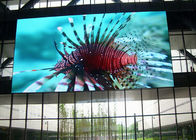 Крытый на открытом воздухе этап полного цвета P3.91 P4.81 SMD привел арендный экран на панели стены Pantalla концерта видео- 500x500mm