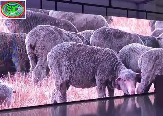 Штендер куба привел стену экрана видео-, крытое тепловыделение приведенное табло П3 естественное