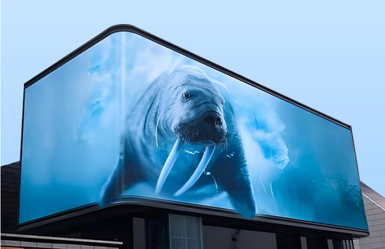 CE Rohs P6 Led Panel Screen Indoor Led Display Billboard для городской рекламы
