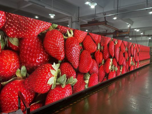 Бесшовный P5 Внутренний полноцветный светодиодный дисплей высокой четкости SMD 3-в-1 Легкий
