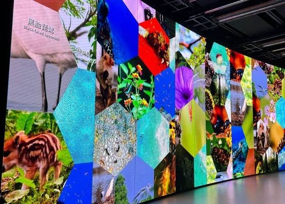 Pixel Pitch P6 фиксированный светодиодный дисплей с светодиодной формой Smd3535/2727 и индивидуальным размером шкафа