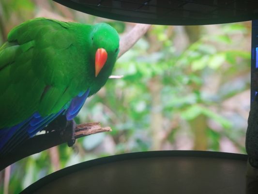 Алюминиевый шкаф P5 с фиксированным светодиодным дисплеем для настраиваемого обслуживания задней части