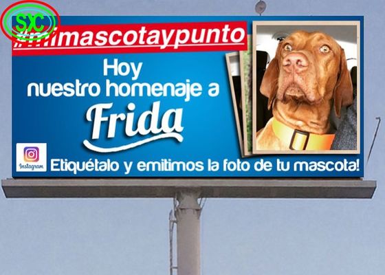 Алюминиевый экран из литья железный ящик / аренда коммерческий свободный наружный полноцветный светодиодный дисплей для уличной и супермаркетной рекламы